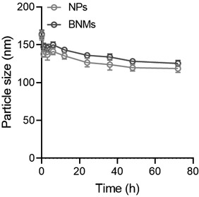 Bacteria-like nano-drug delivery system as well as preparation method and application thereof