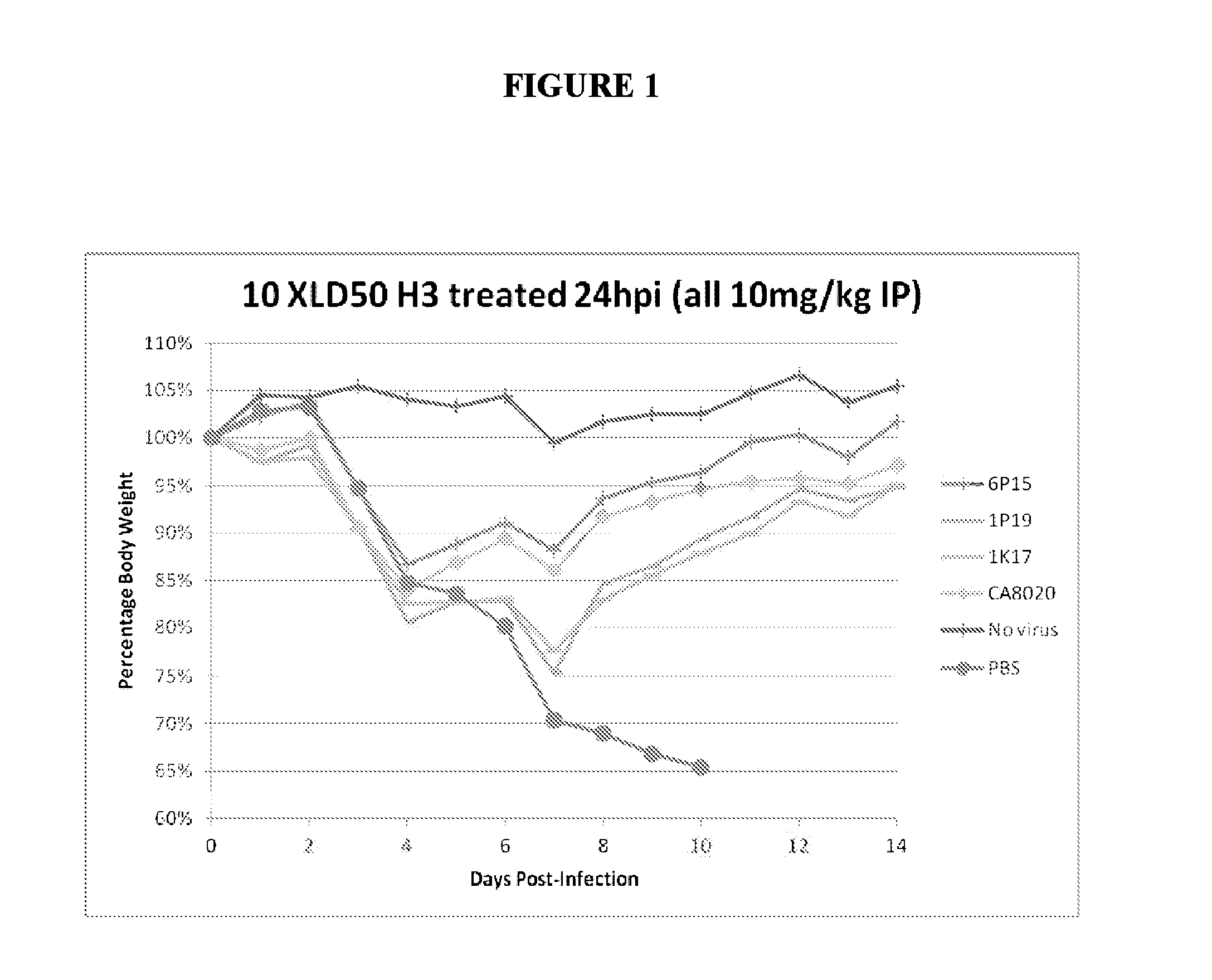 Composition and methods based on neutralizing antibodies delivered intranasally for enhanced therapeutic efficacy