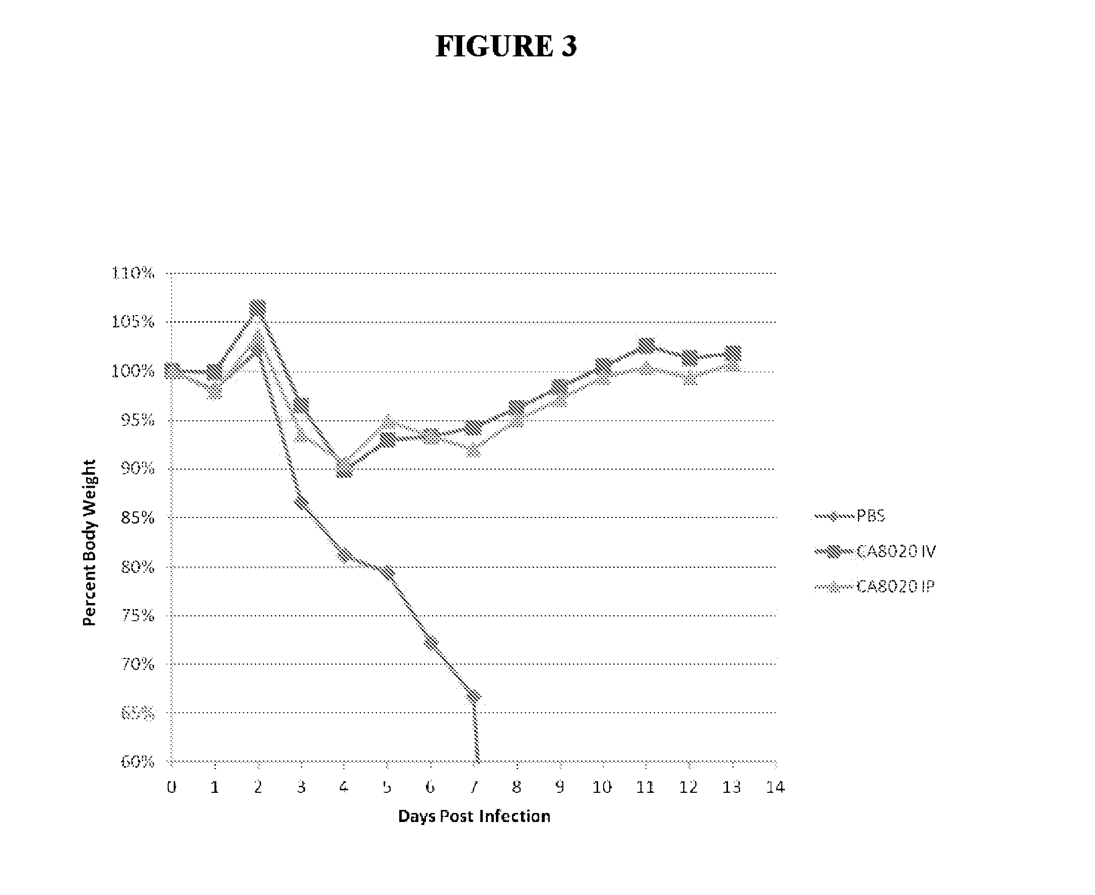 Composition and methods based on neutralizing antibodies delivered intranasally for enhanced therapeutic efficacy