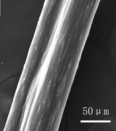 Method for preparing collagen fiber through wet spinning