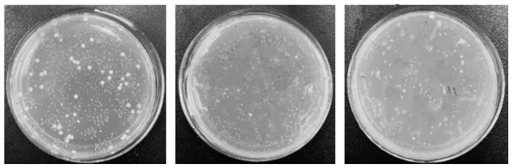Aramid fiber antibacterial dyeing one-bath treatment method