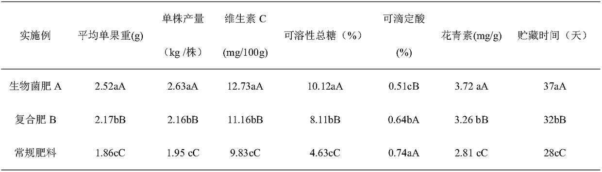 Highly-efficient biological bacterial fertilizer for blueberry, and preparation method and application thereof