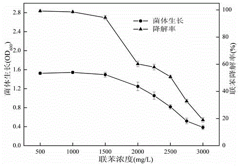 VBNC biphenyl degrading bacterium isolation and screening method and application