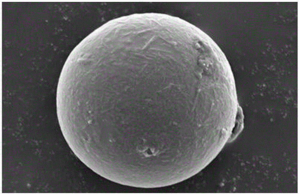 Preparation method for rhizoma bletillae polysaccharide