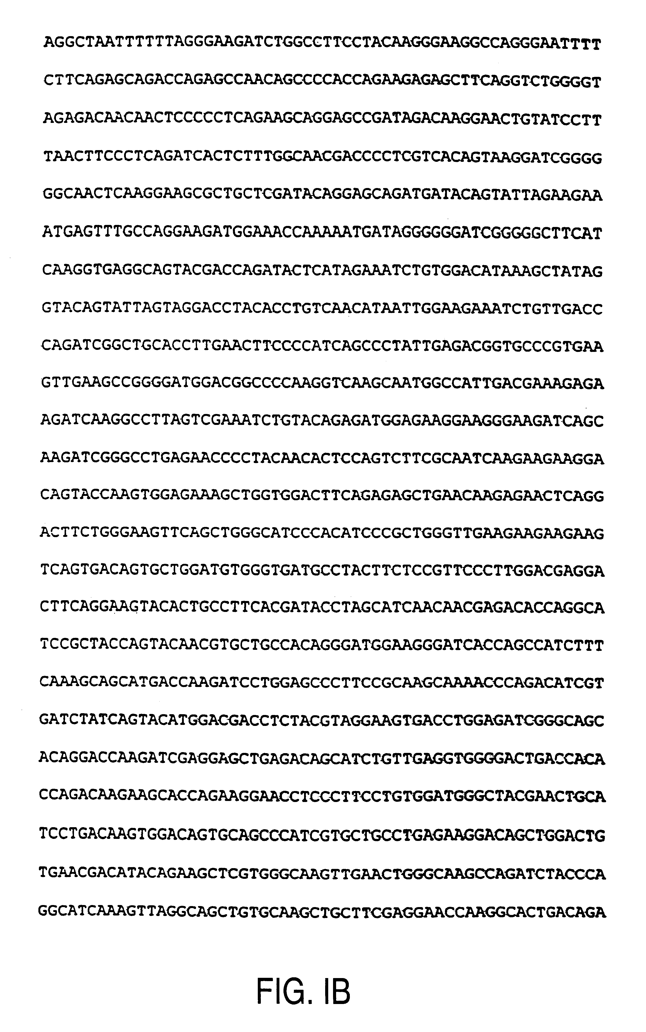 Molecular clones with mutated HIV gag/pol, SIV gag and SIV env genes