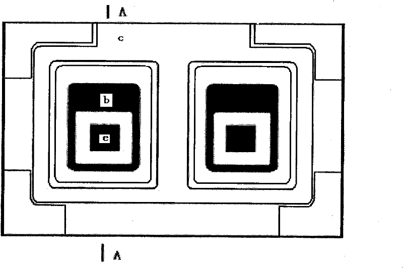Method for manufacturing integrated PNP differential pair tube