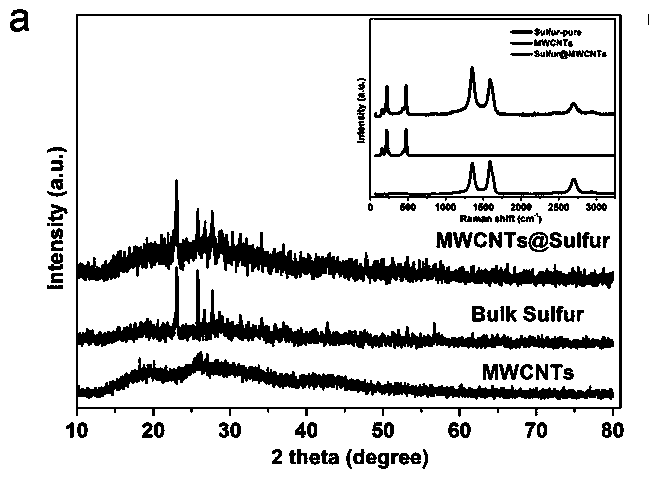 A method for constructing a stable solid-state interface on the cathode surface of sulfur-based and selenium-based batteries