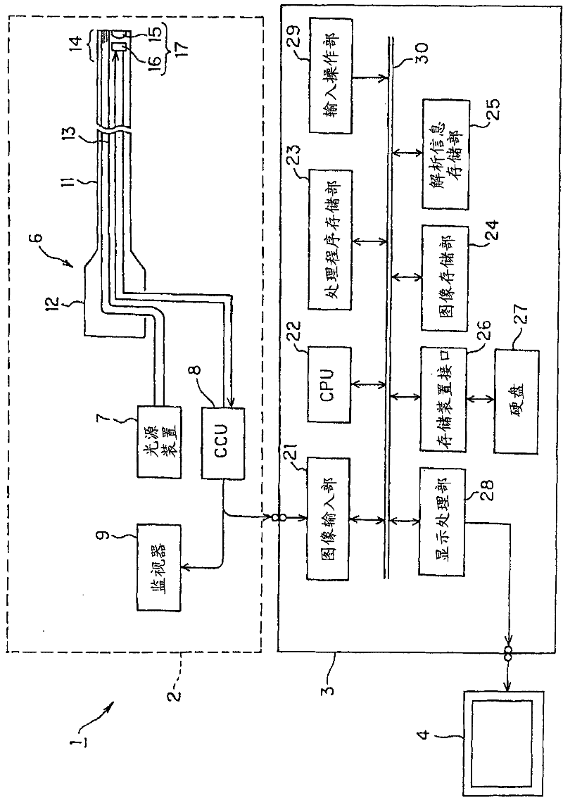 Medical image processing device and medical image processing method