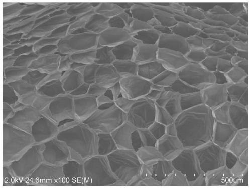 Preparation method of high-multiplying-power electroconductive polypropylene foamed beads