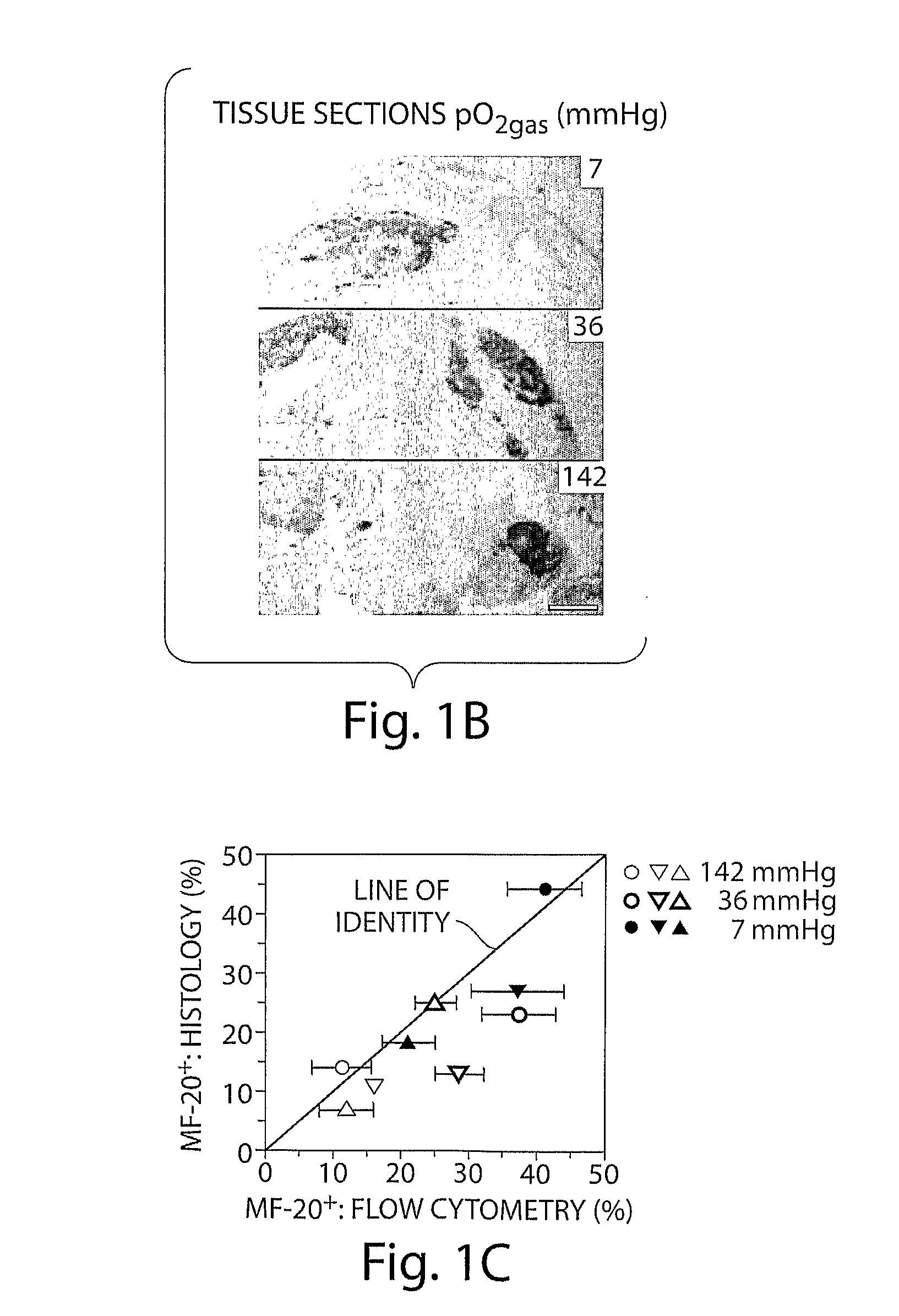 Methods and compositions for enhanced differentiation from embryonic stem cells