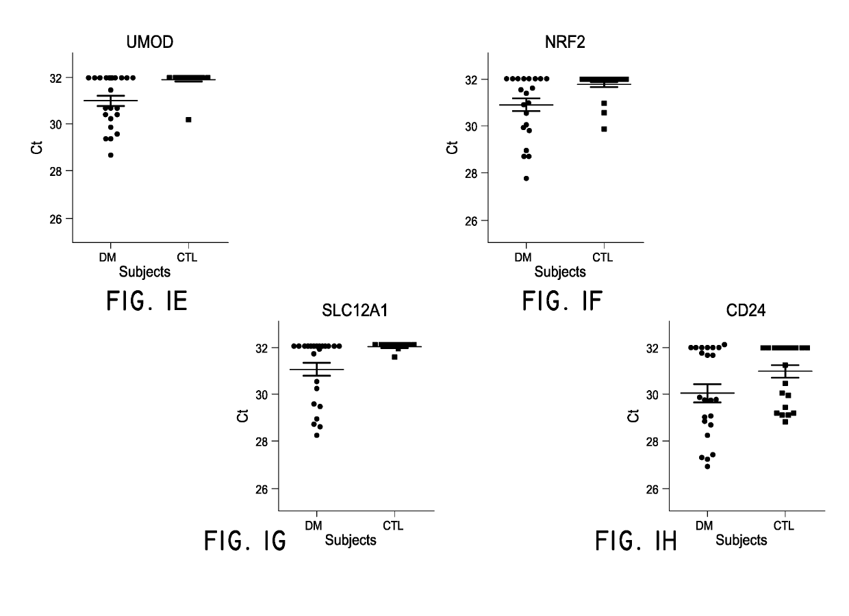 URINE EXOSOME mRNAS AND METHODS OF USING SAME TO DETECT DIABETIC NEPHROPATHY
