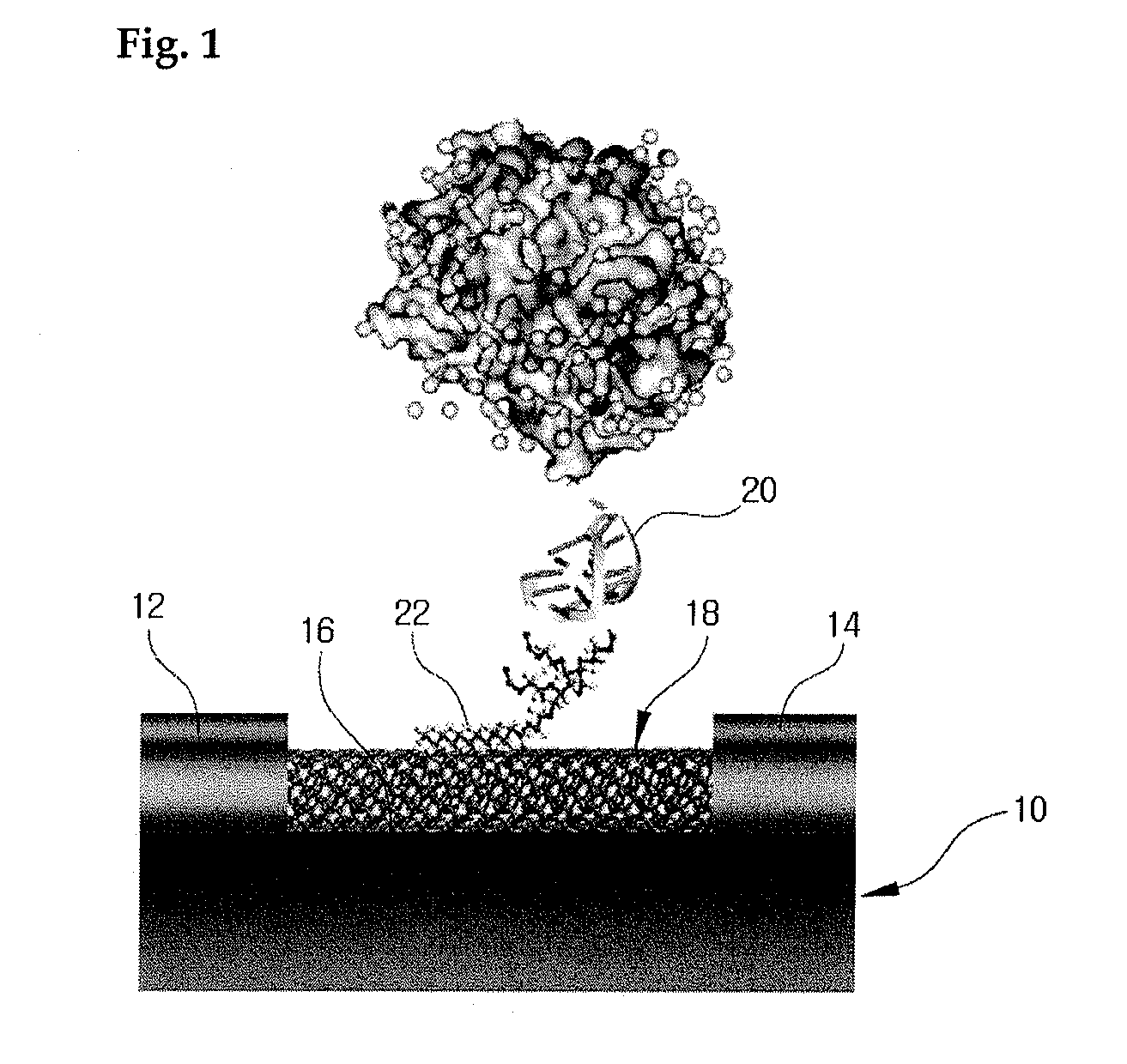 Carbon nanotube biosensors with aptamers as molecular recognition elements and method for sensing target material using the same