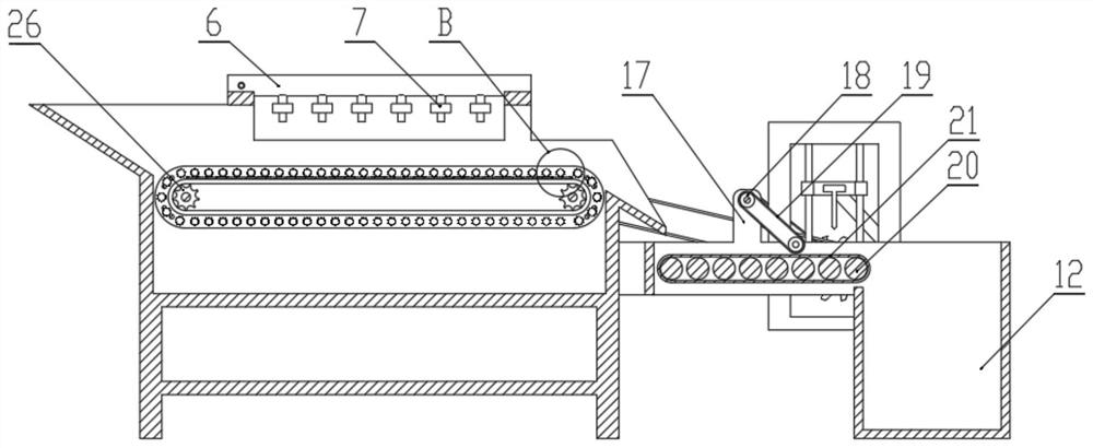 Multifunctional automatic equipment for vegetable processing