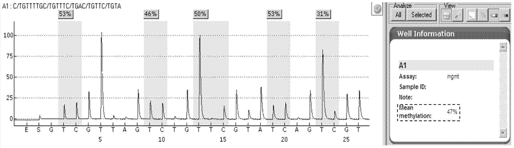Reagent and method for detecting MGMT gene promoter methylation