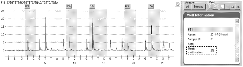 Reagent and method for detecting MGMT gene promoter methylation