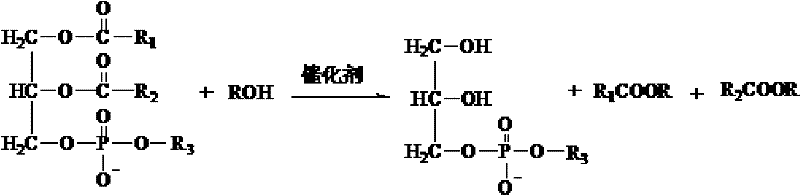 Natural L-alpha-glycerophosphocholine (GPC) and preparation method thereof