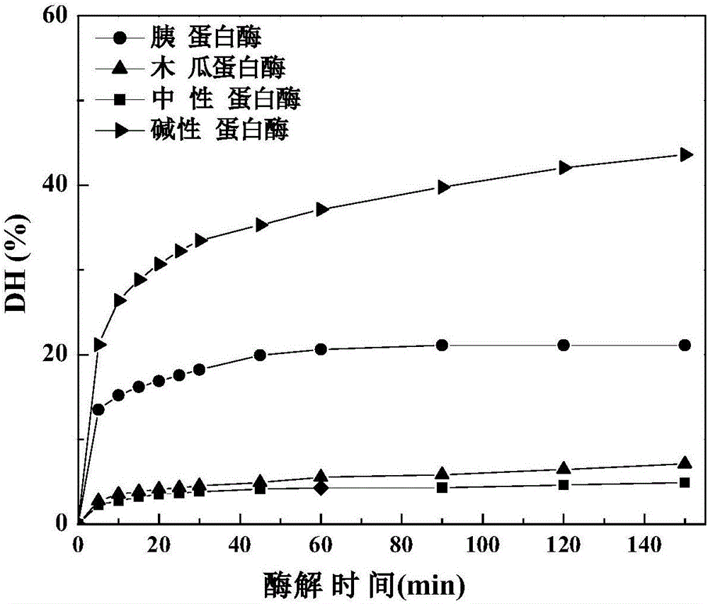 Sheep placenta antioxidant polypeptide as well as enzymatic hydrolysis preparation method and application thereof