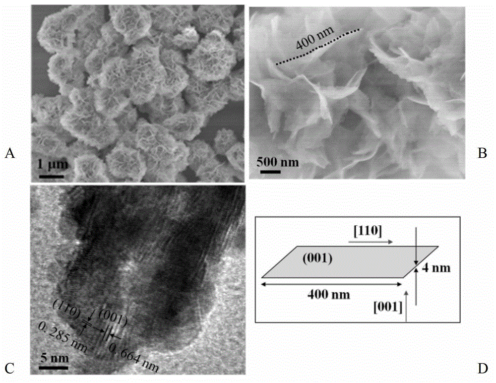 Method for preparing BiOCl micro-flower nanometer photocatalysis material
