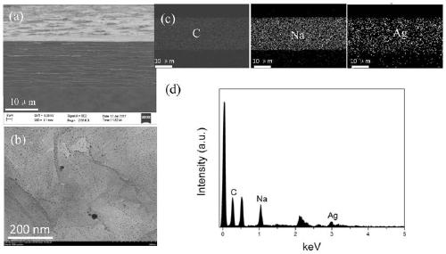 Sodium alginate-silver-loaded graphene composite film with antibacterial and wound healing functions and its application