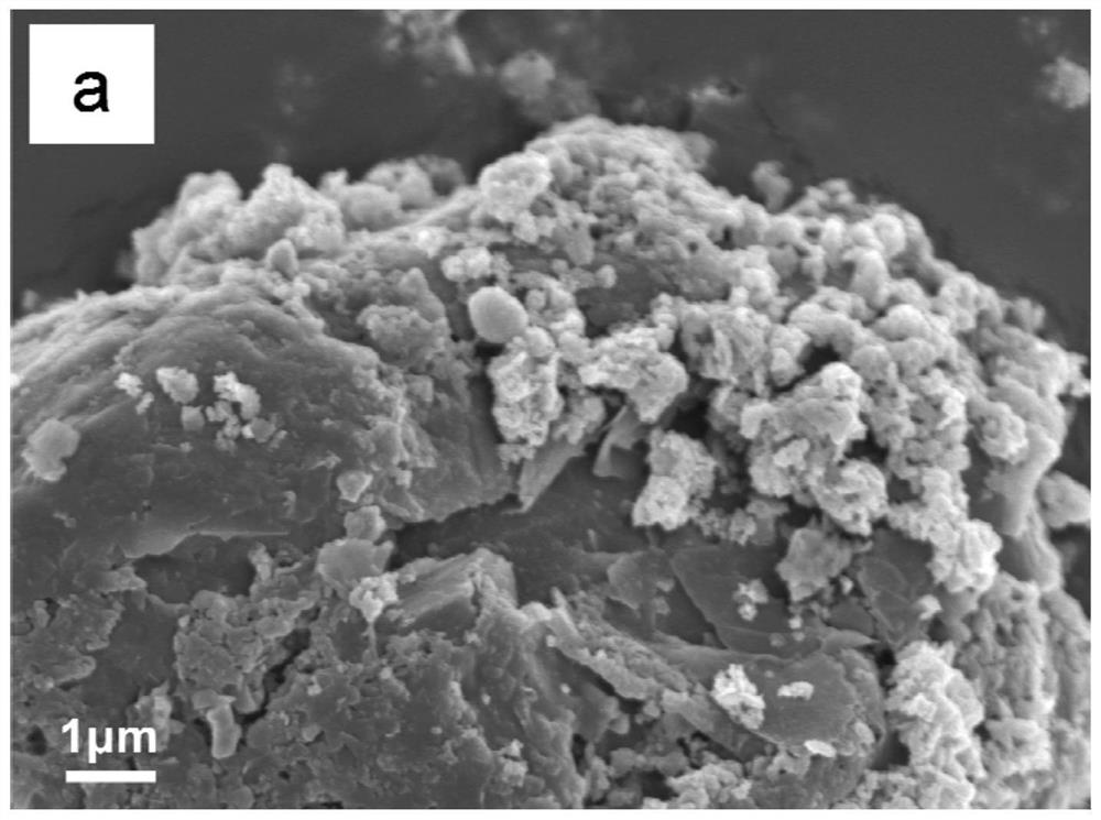 A kind of method that recovers graphite from lithium-ion battery negative pole to prepare electric Fenton cathode