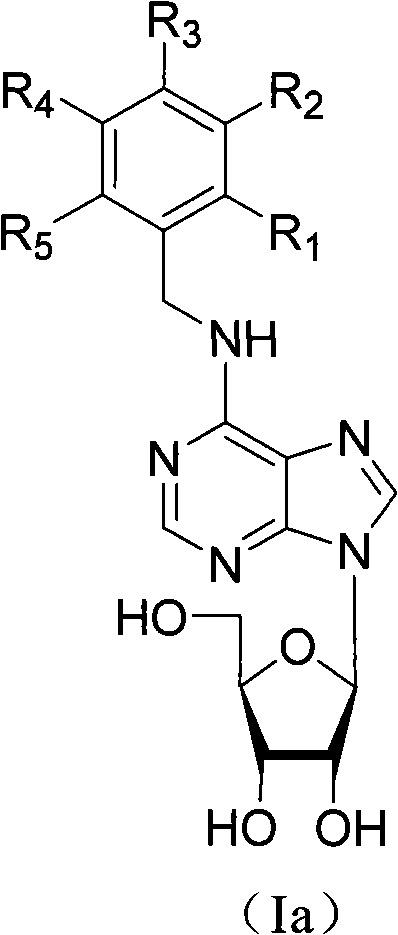 N*-substituted adenosine derivative, preparation method thereof, drug composition and application