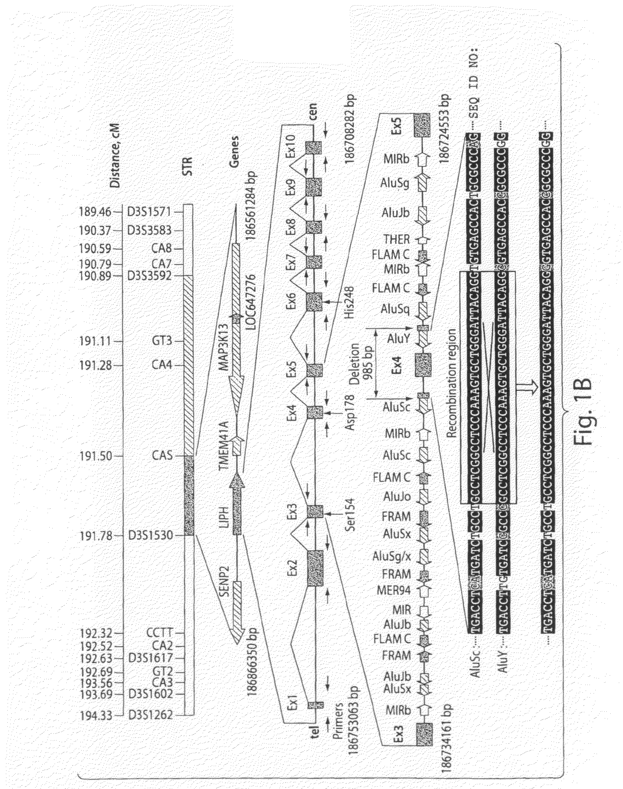 Methods and compositions for modulating hair growth