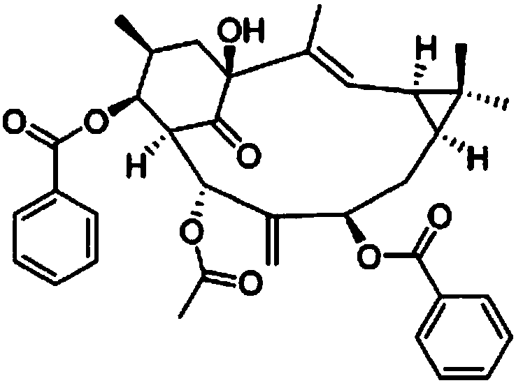 Application of lathyranone A to preparation of monoamine oxidase (MAO) inhibitor