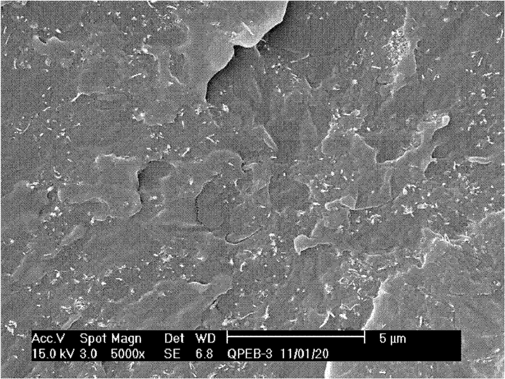 Carbon nanotube/polyolefin conductive composite material and preparation method