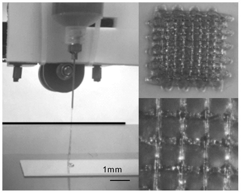 Preparation of nano-composite hydrogel ink and application of nano-composite hydrogel ink in 3D printing