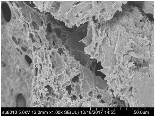 Carbon-based immobilized microbial agent soil conditioner and preparation method thereof