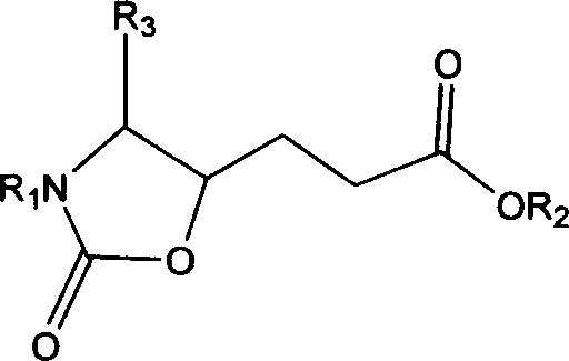 Precursor of key intermediate of AG 7088 class compound and its sythetic process
