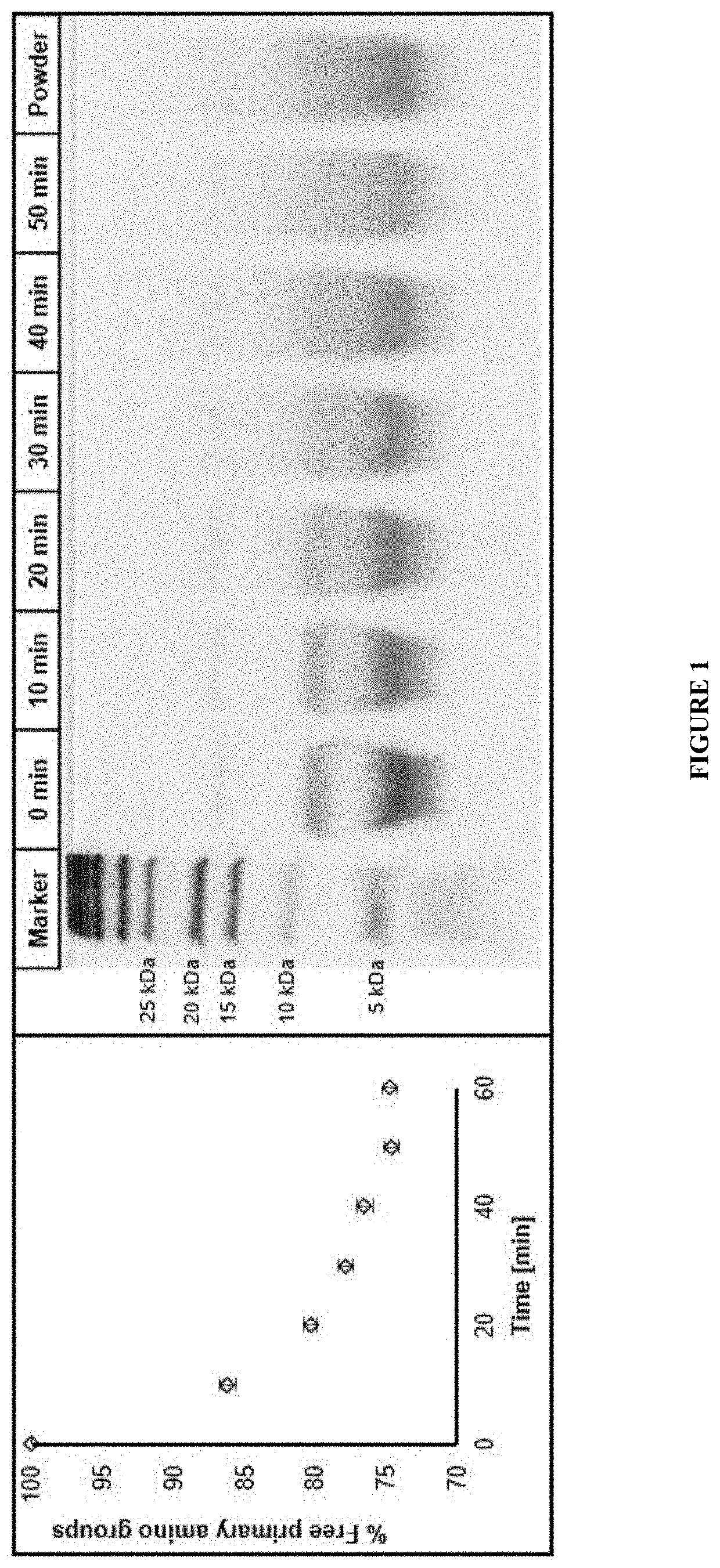 Composition and method for a prebiotic delivery system targeted to probiotic bacteria