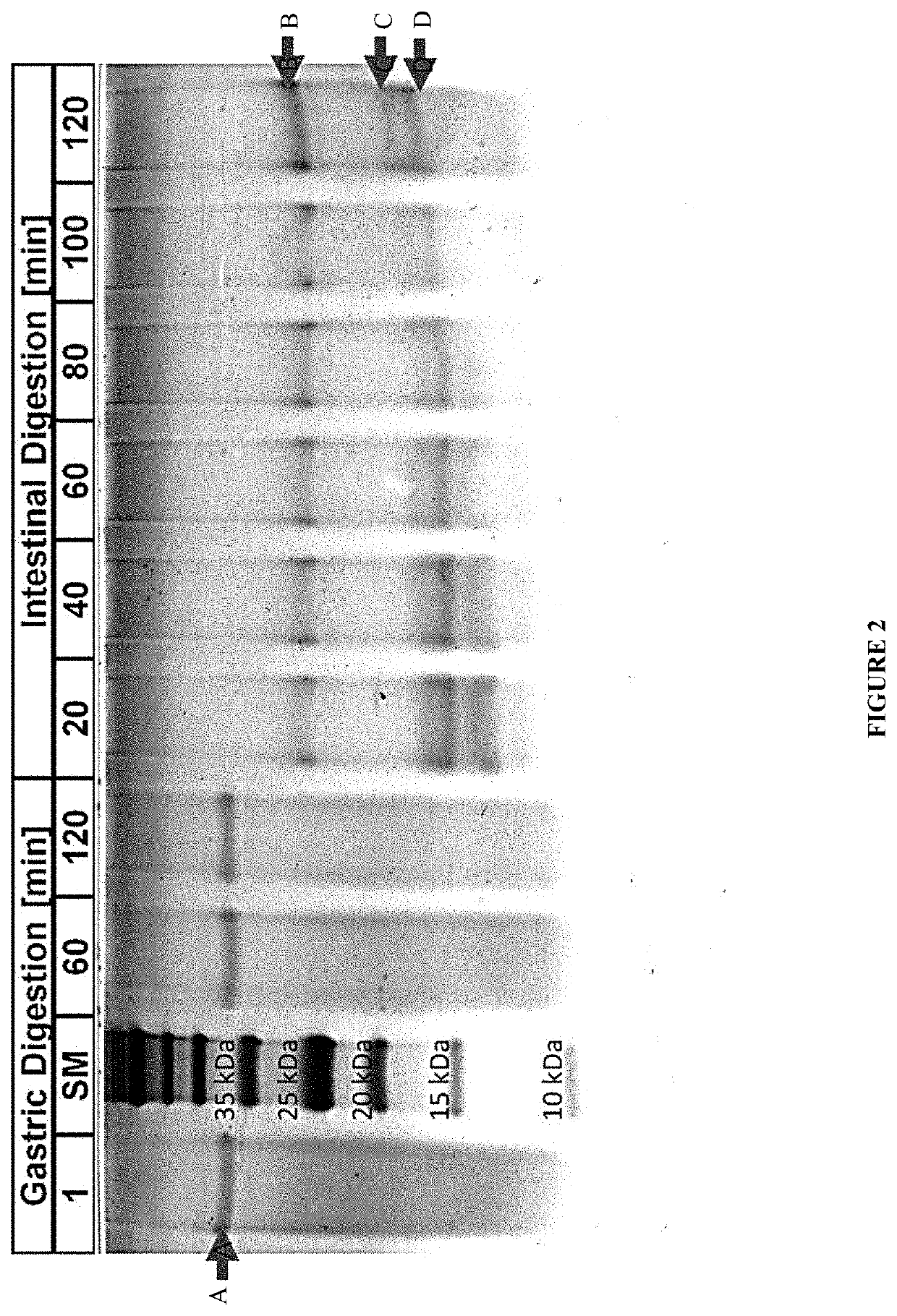 Composition and method for a prebiotic delivery system targeted to probiotic bacteria