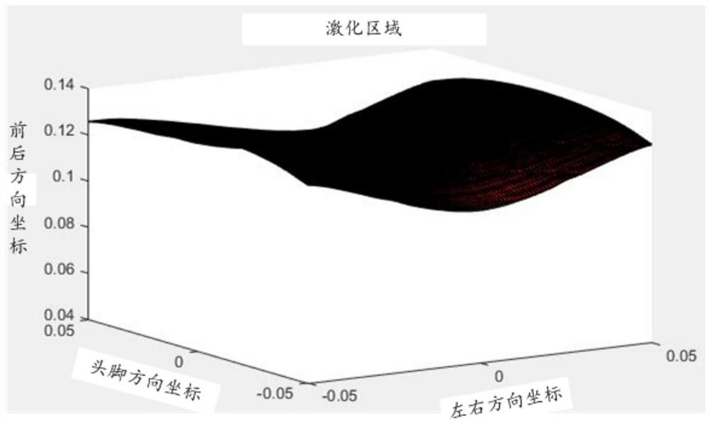 Nuclear magnetic resonance measurement system suitable for noninvasive quantitative detection of organs