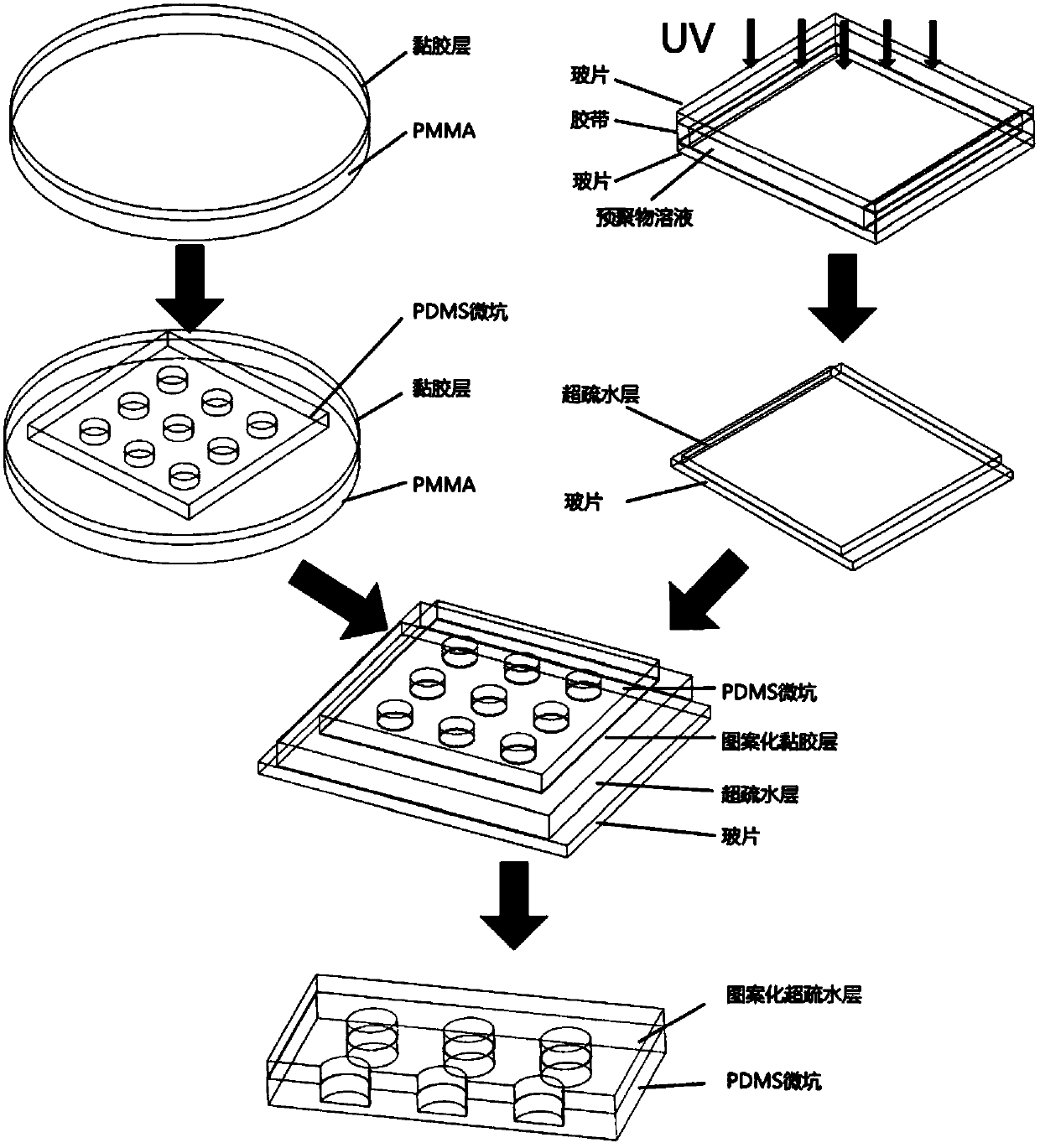 A superhydrophobic micropit array chip and its preparation method and application