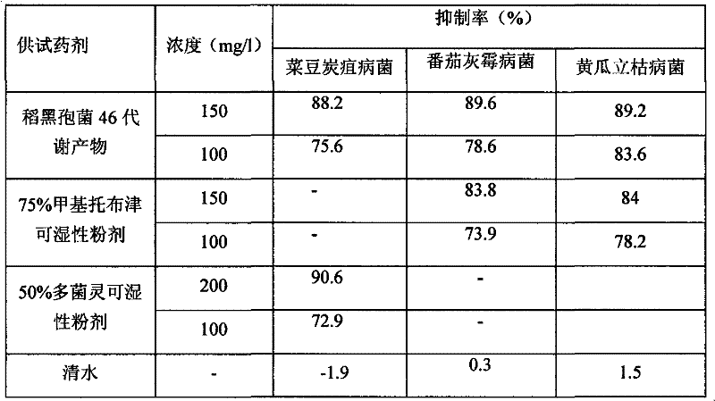 Use of metabolites of nigrospora oryzae 46 in prevention of colletotrichum lindemuthianum