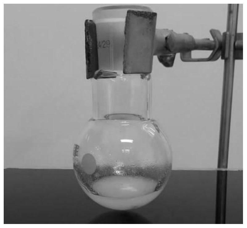 A kind of multi-responsive dendritic polymer prepared by visible light-triggered thiol-ene click reaction and its method