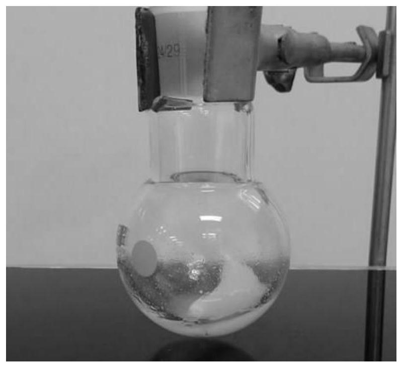 A kind of multi-responsive dendritic polymer prepared by visible light-triggered thiol-ene click reaction and its method