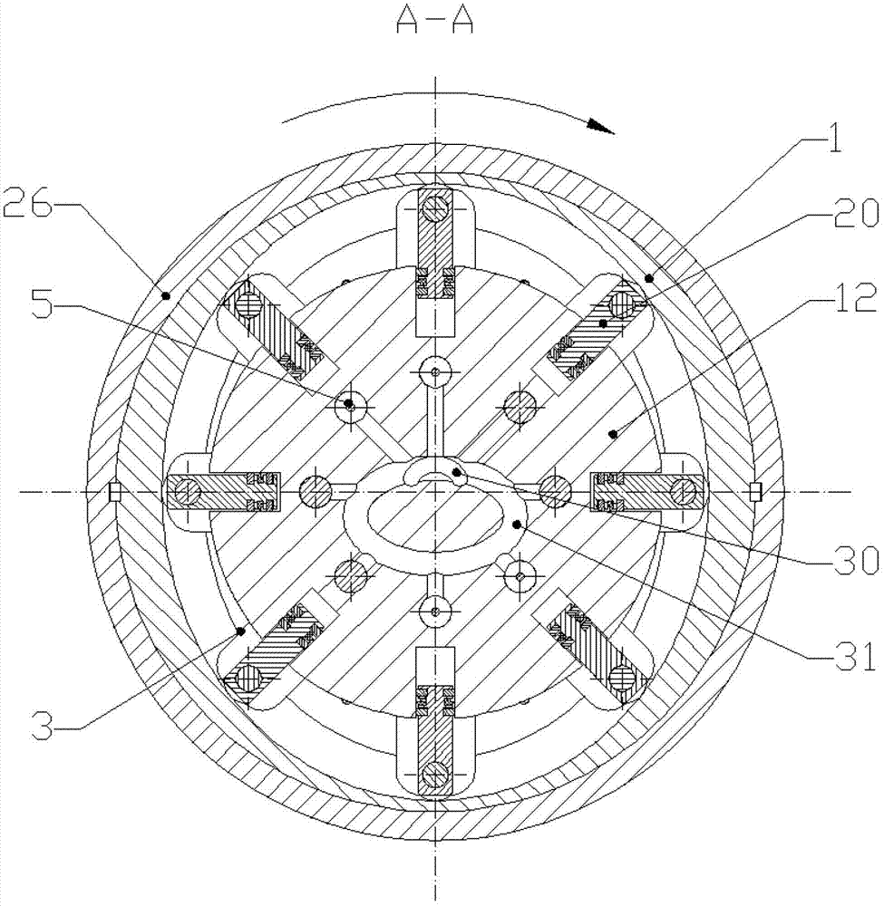 Radial plunger hydraulic pump of double-acting type outer rotor