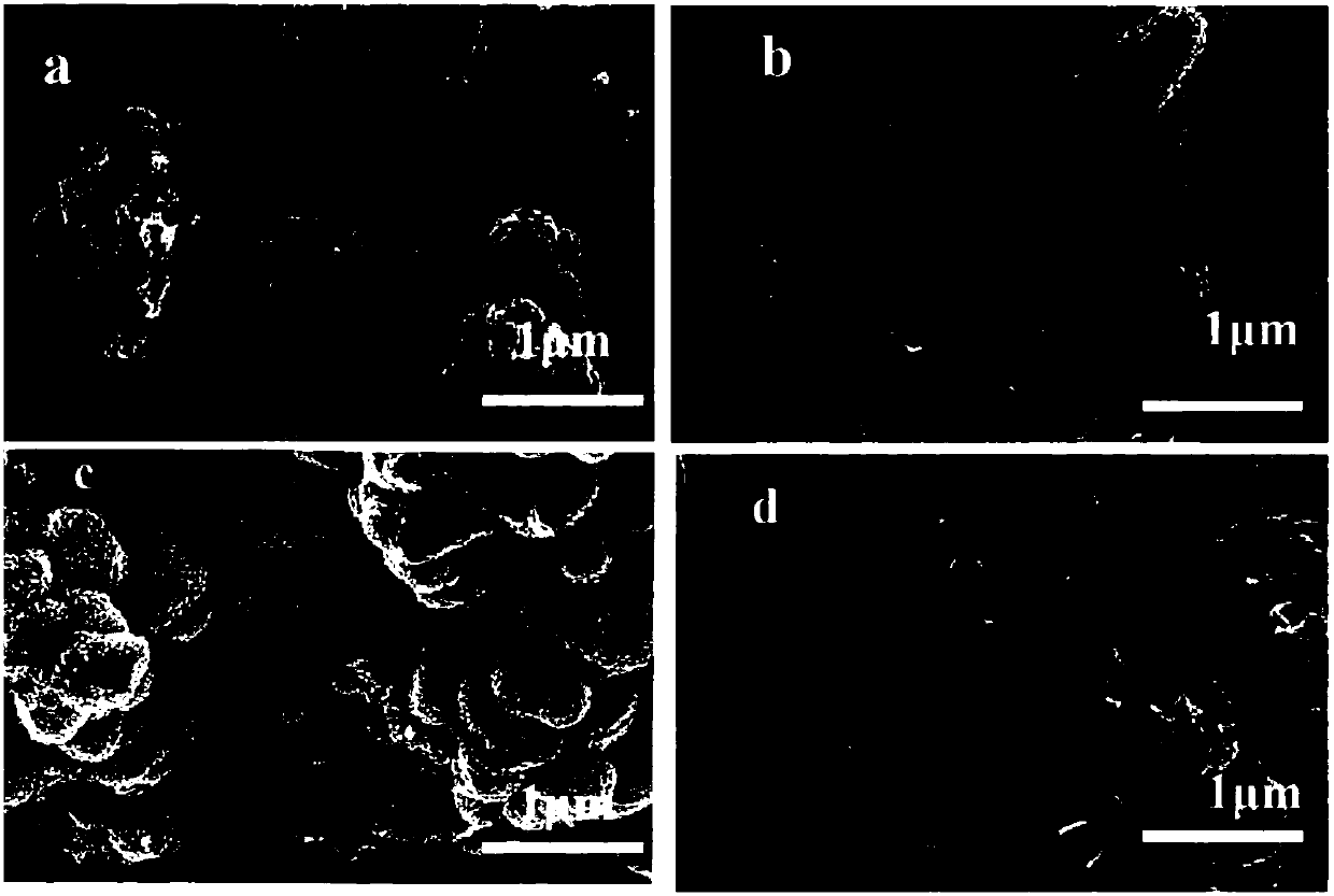 Preparation method of transitional metal doped molybdenum disulfide sodium battery negative electrode material and obtained material and application thereof