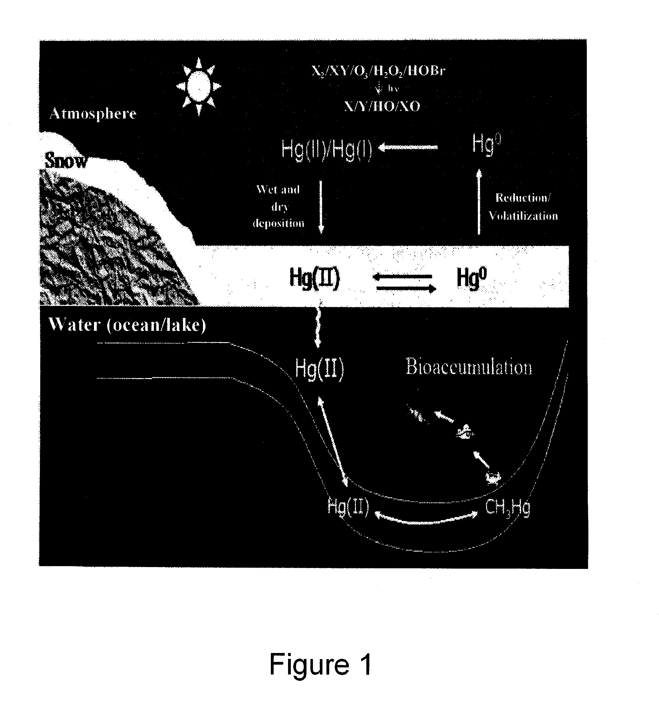 Methods and systems for the quantitative chemical speciation of heavy metals and other toxic pollutants