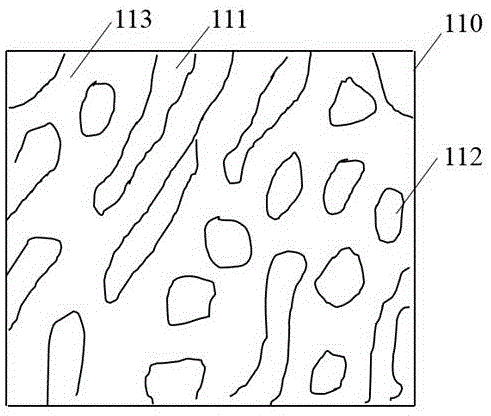 Fabrication method of holographic speckle structured organic light emitting diode
