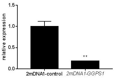 Silencing method of aleyrodid carotenoid synthetic gene