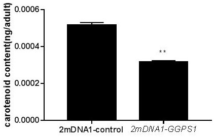 Silencing method of aleyrodid carotenoid synthetic gene