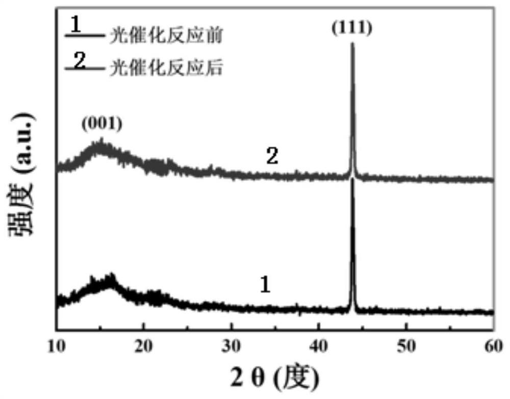 Preparation of a transition metal dichalcogenide thin film and its photocatalytic application