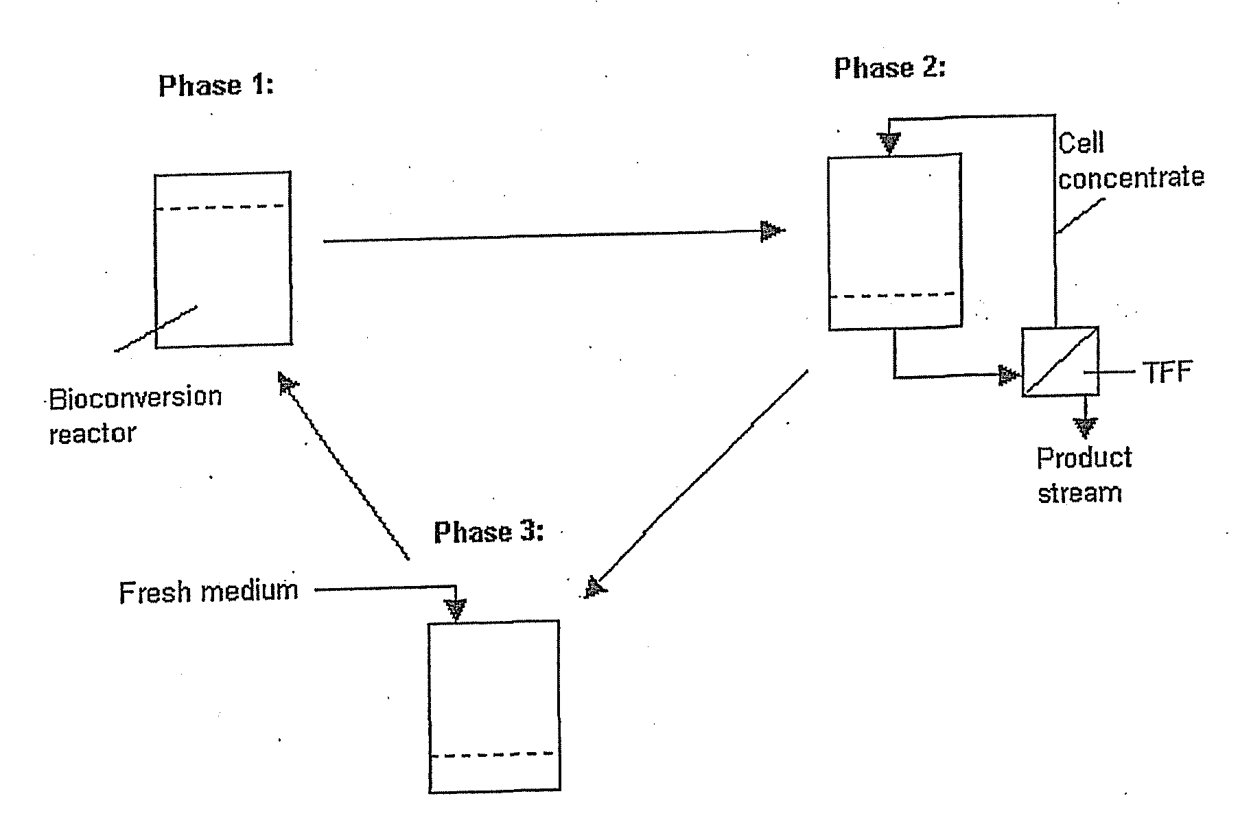 Process for Producing D-Mannitol