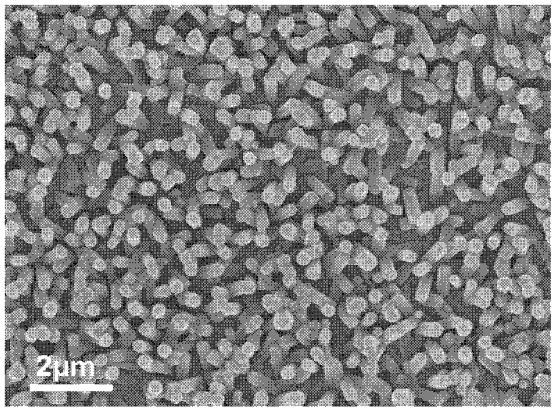 Method for preparing nano-branched titanium dioxide photoanode of dye sensitized solar cell