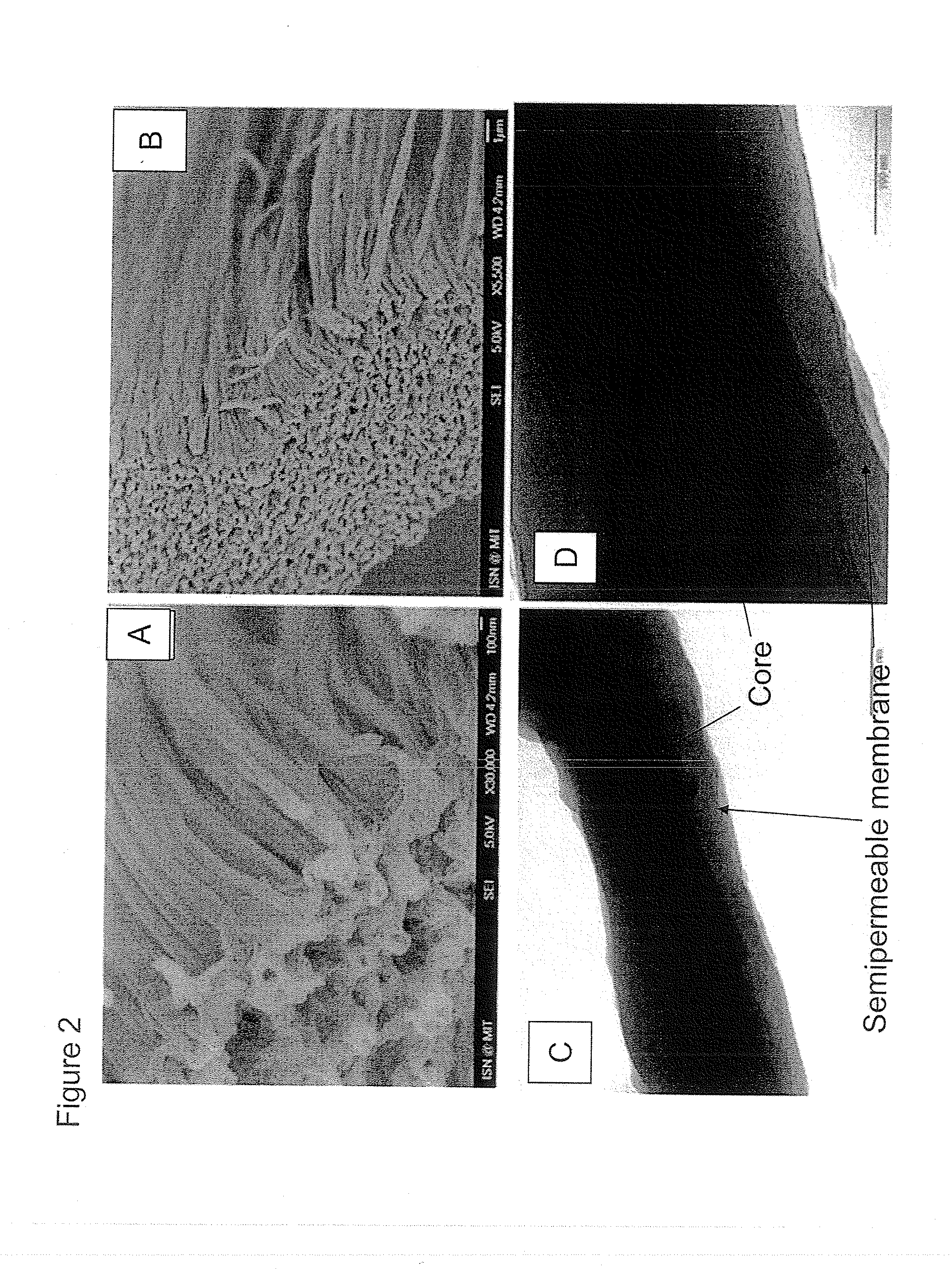 Compositions And Methods For Measurement of Analytes