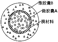 A kind of new medicine fertilizer containing clothianidin for preventing and controlling diseases and insect pests and preparation method thereof