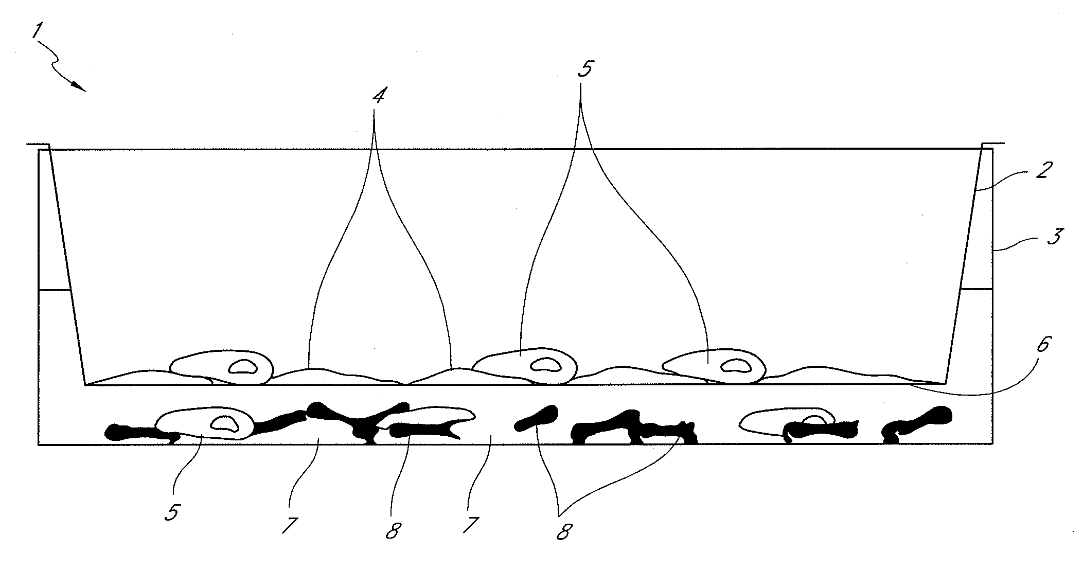 Cell culture system, process for the production thereof, and the use thereof in preclinical investigation